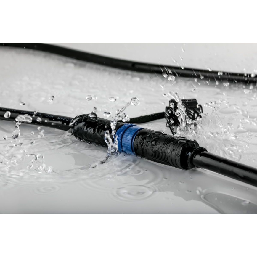 Paulmann 99933 - 3x Indbygningslampe til badeværelse dæmpbar LED/5,2W IP65 230V