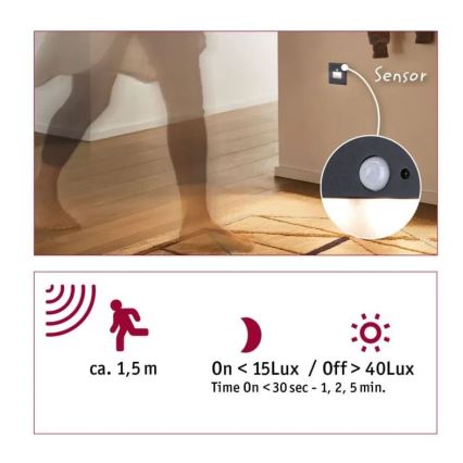 Paulmann  93135 - LED/1,2W Trappelampe med sensor EDGE 230V sort