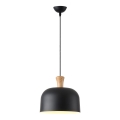 Pendel 1xE27/15W/230V sort