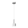 Pendel ARENA 1xGX53/11W/230V hvid/skinnende krom