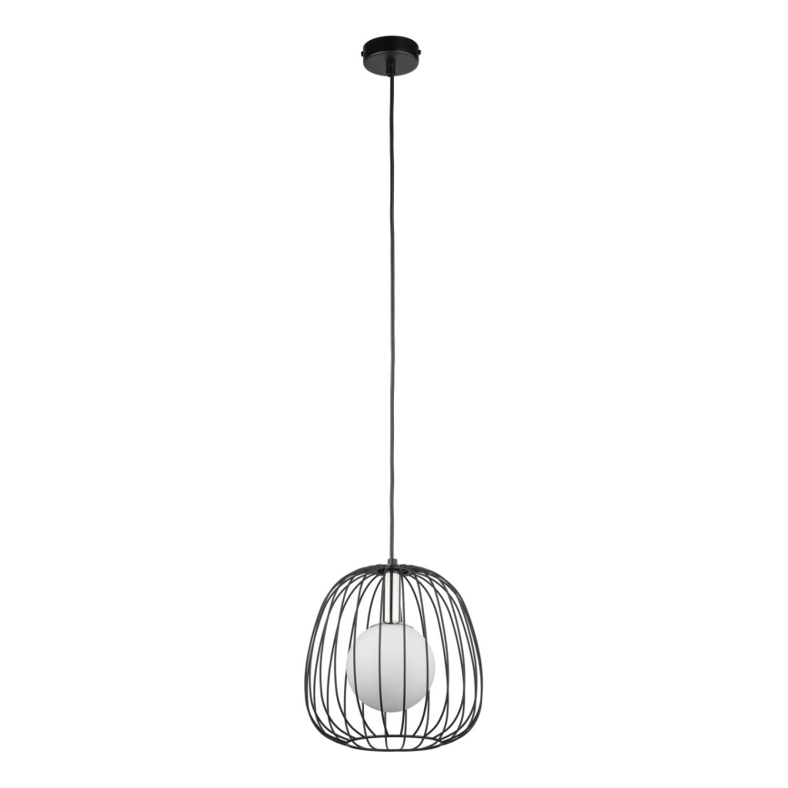Pendel BELL 1xG9/12W/230V diameter 24 cm sort/skinnende krom