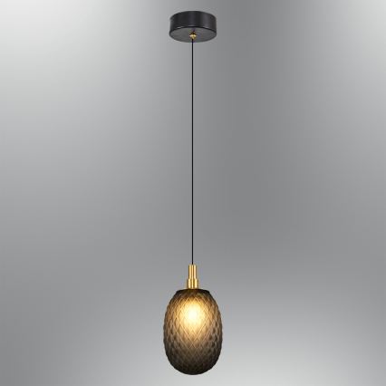 Pendel CACTUS med wireophæng, 1xG9/5W/230V, sort