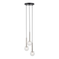 Pendel DAISY 3xG9/12W/230V diameter 27 cm skinnende krom/sort/transparent