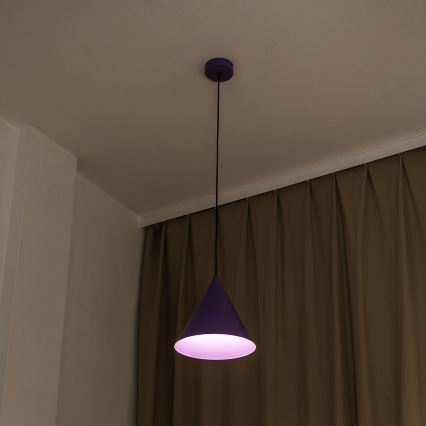 Pendel ETNA 1xE27/15W/230V Ø 25 cm lilla