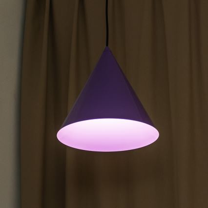 Pendel ETNA II 1xE27/15W/230V Ø 25 cm lilla