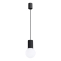Pendel HALO 1xG9/8W/230V diameter 12 cm sort