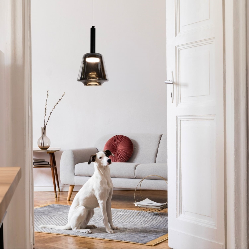 Pendel med kabel BUENO 1xGX53/9W/230V Ø 18 cm røgfarvet sort