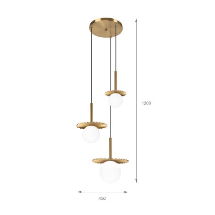 Pendel på kabel CHITA 3xG9/5W/230V guldfarvet
