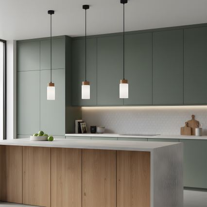 Pendel på kabel MARKUS 1xE27/15W/230V sort/eg