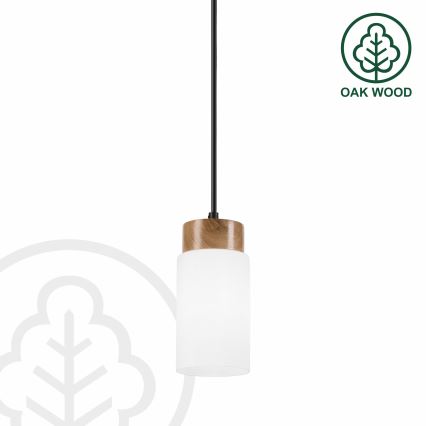 Pendel på kabel MARKUS 1xE27/15W/230V sort/eg