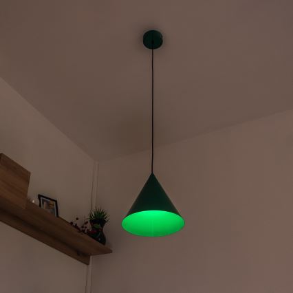 Pendel på ledning ETNA II 1xE27/15W/230V Ø 25 cm grøn