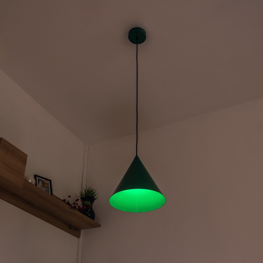 Pendel på ledning ETNA II 1xE27/15W/230V Ø 25 cm grøn