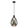 Pendel på wire DENSO 1xG9/5W/230V Ø 20 cm sort krom