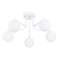 Pendellampe ASTRAL 5xG9/8W/230V hvid