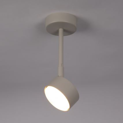 Pendellampe NEMO 1xGX53/12W/230V 24 cm beige