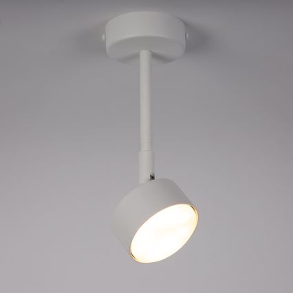 Pendellampe NEMO 1xGX53/12W/230V 24 cm hvid