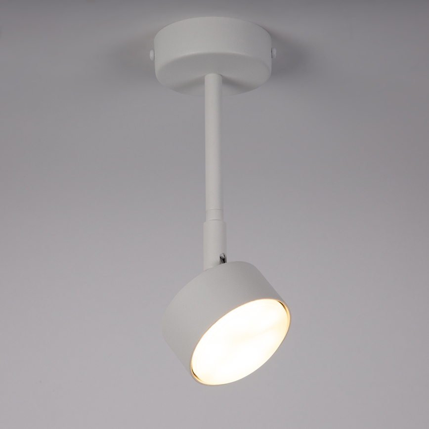 Pendellampe NEMO 1xGX53/12W/230V 24 cm hvid