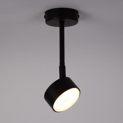 Pendellampe NEMO 1xGX53/12W/230V 24 cm sort