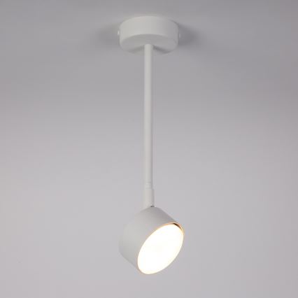 Pendellampe NEMO 1xGX53/12W/230V 35 cm hvid