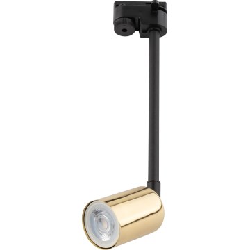 Pendellampe til 1-faset skinnesystem TOP 1xGU10/10W/230V guldfarvet/sort