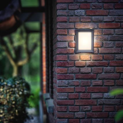 Philips - Udendørs væglampe LED/6W/230V IP44