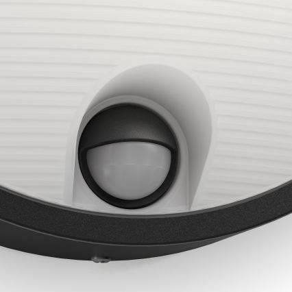 Philips - LED Udendørs væglampe med sensor LED/6W/230V IP44