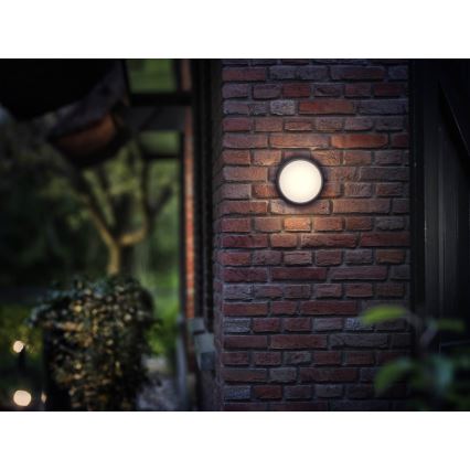 Philips - LED udendørsbelysning 1xLED/3,5W IP44