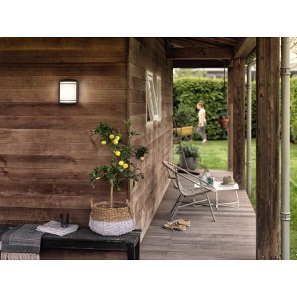 Philips - Udendørs væglampe LED/6W/230V IP44