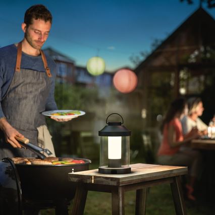 Philips 17360/30/P0 - LED bærbar haven lampe ABELIA LED/3W