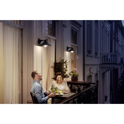 Philips 17381/30/PN - Udendørs væglampe COMORANT 1xE27/42W/230V IP44