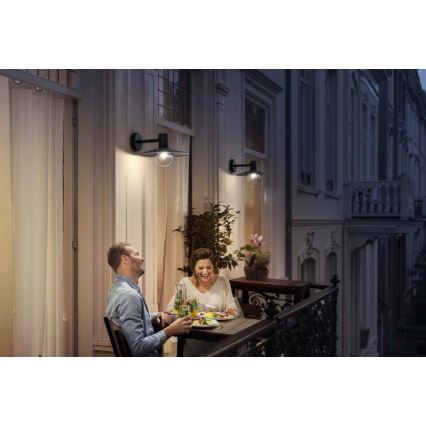 Philips - Udendørslampe 1xE27/42W/230V IP44