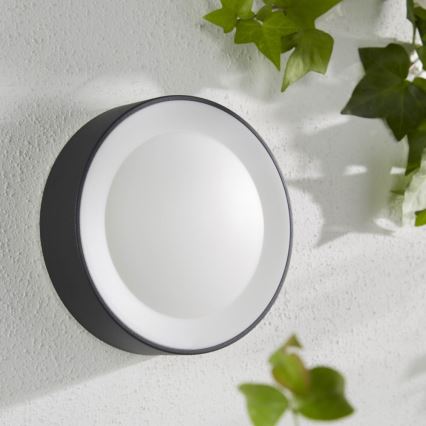 Philips - LED RGBW Udendørs væglampe dæmpbar Hue DAYLO LED/15W/230V 2000-6500K IP44