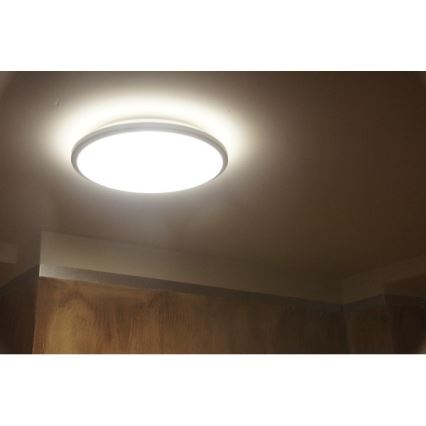 Philips 30804/87/16 - LED loftsbelysning MYLIVING TWIRL 30K LED/11W/230V