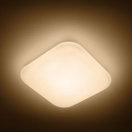 Philips - LED loftlampe 1xLED/17W/230V 2700K