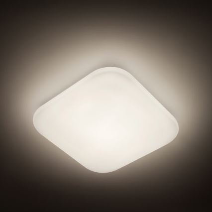 Philips - LED loftlampe 1xLED/17W/230V 4000K