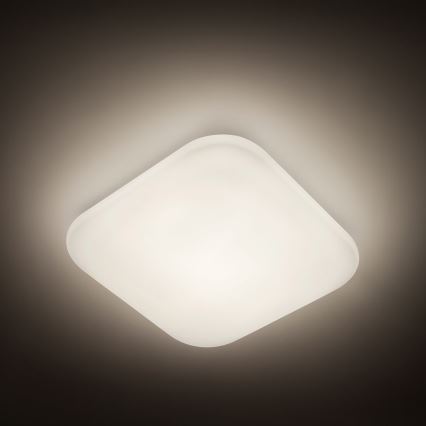 Philips - LED loftlampe LED/17W/230V 4000K