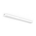 Philips 31247/31/P0 - LED fluorescerende lampe AQUALINE LED/50W/230V IP65