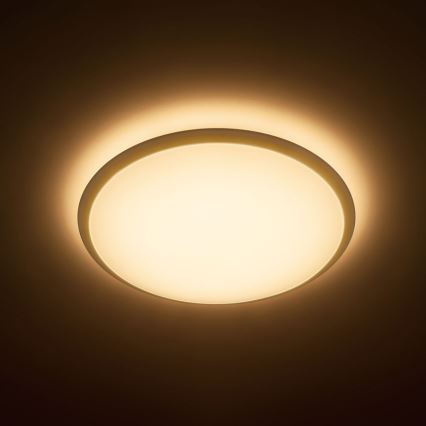 Philips - LED loftlampe 1xLED/17W/230V