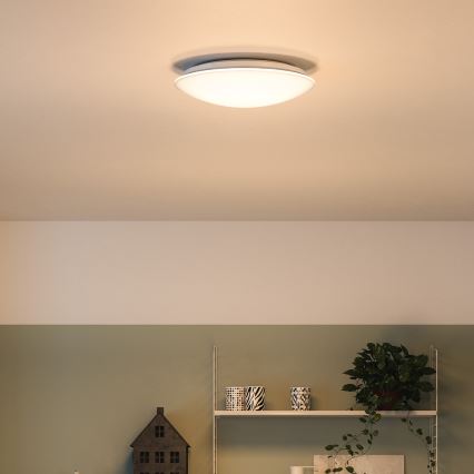 Philips 33365/31/P0 - Loftlampe MYLIVING MAUVE 1xLED/22W/230V