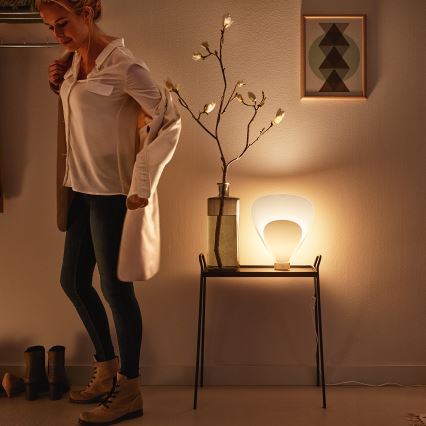 Philips 40879/31/PN - Bordlampe MYLIVING PINE E27/60W/230V