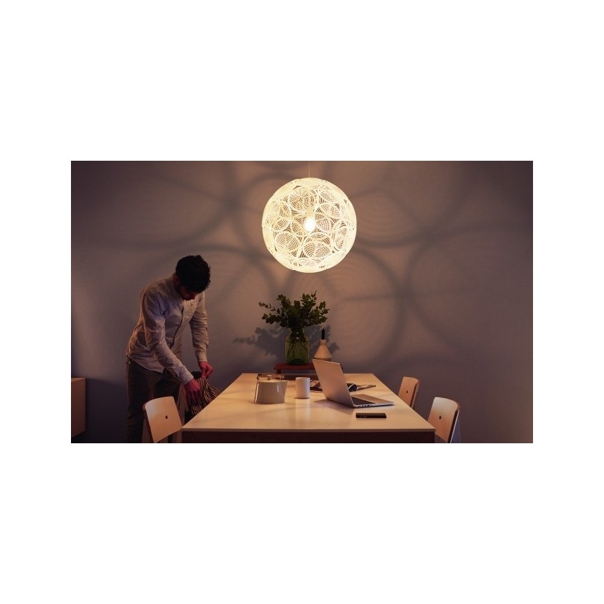 Philips - Loftlampe E27/60W/230V