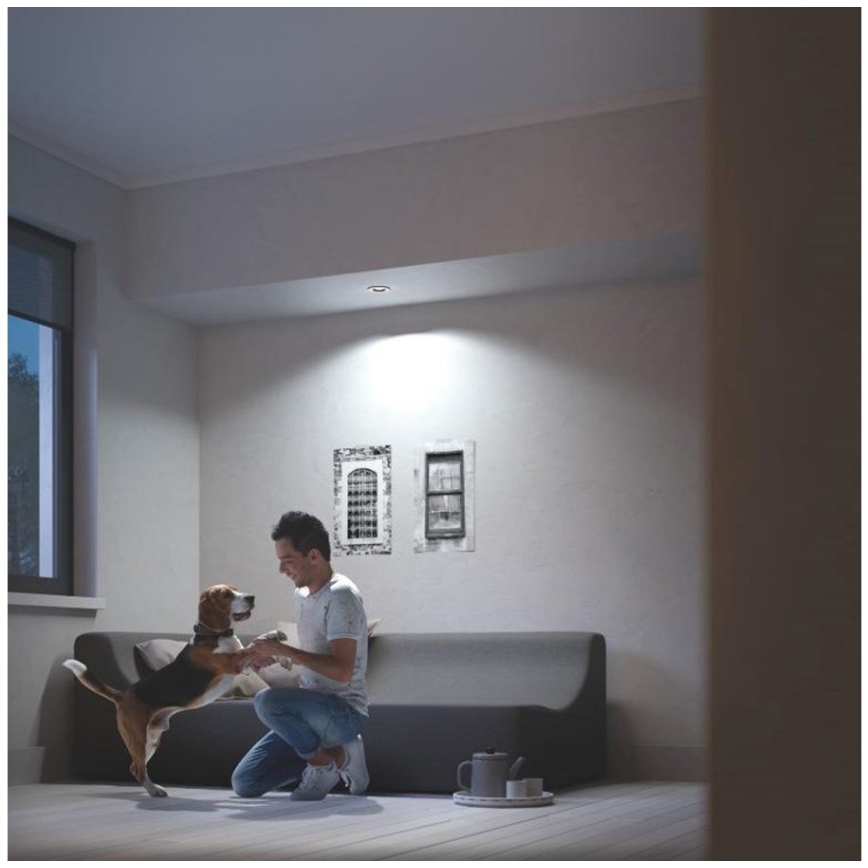 Philips 50411/31/P9 - LED indbygningsspot dæmpbar MILLISKIN 1xGU10/5W/230V