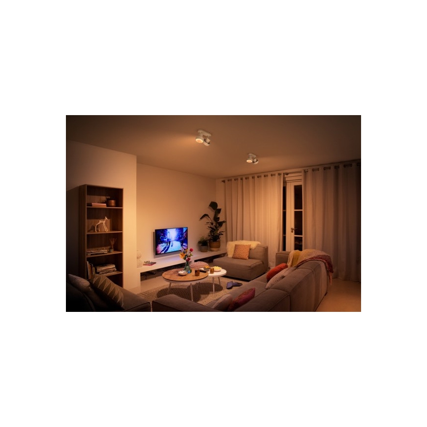 Philips 50602/31/P0 - LED spotlampe BUKKO 2xLED/4,5W/230V