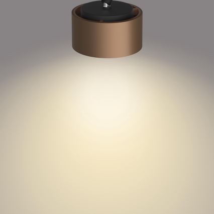 Philips 50654/05/P0 - LED spotlampe FERANO 4xLED/4,3W/230V