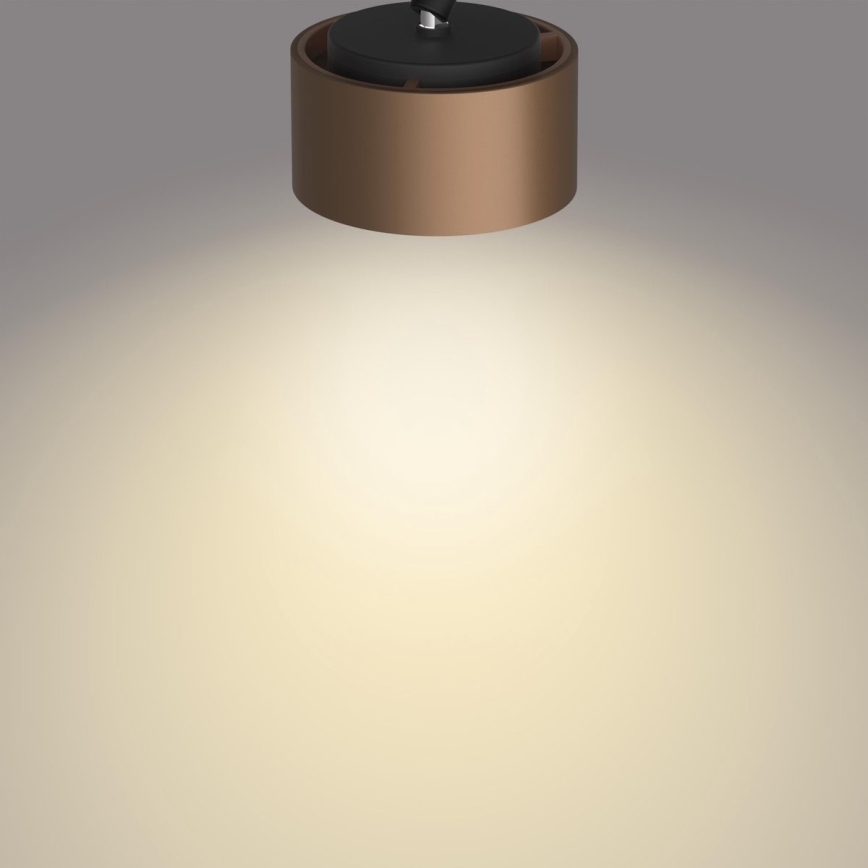 Philips 50654/05/P0 - LED spotlampe FERANO 4xLED/4,3W/230V