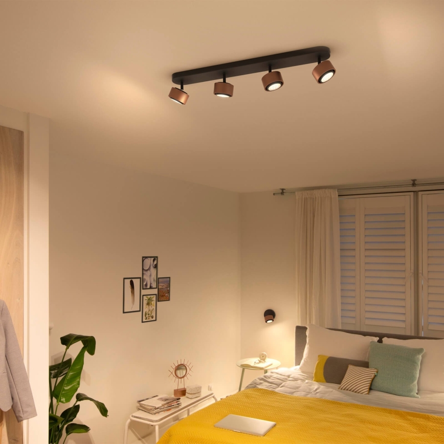 Philips 50654/05/P0 - LED spotlampe FERANO 4xLED/4,3W/230V