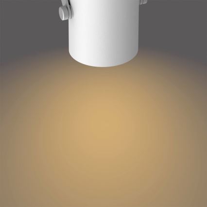 Philips - LED spotlampe 2xLED/4,3W/230V 2200/2500/2700K