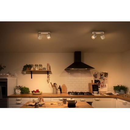 Philips - LED spotlampe dæmpbar 2xLED/4,5W/230V