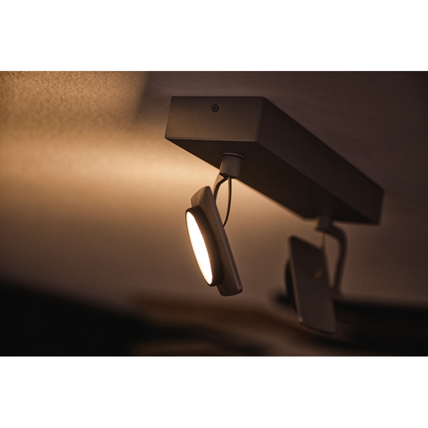 Philips 53192/48/P0 - LED spotlamper MILLENNIUM 2xLED/4,5W/230V
