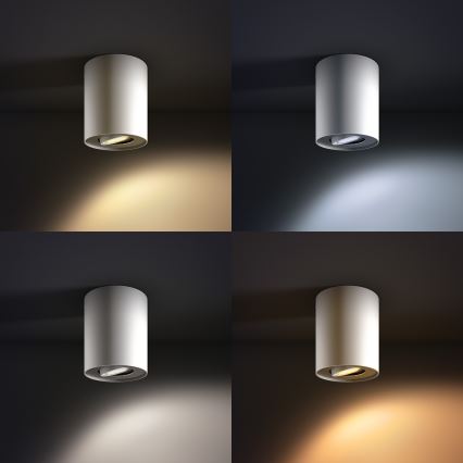 Philips - LED dæmpbart spotlys Hue PILLAR 1xGU10/5,5W + fjernbetjening